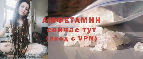 молекула духа Нягань