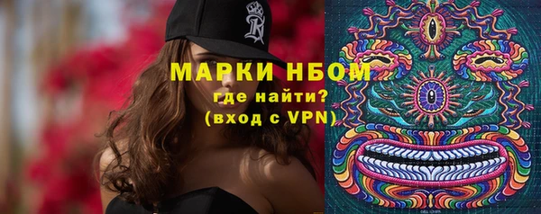 spice Новодвинск
