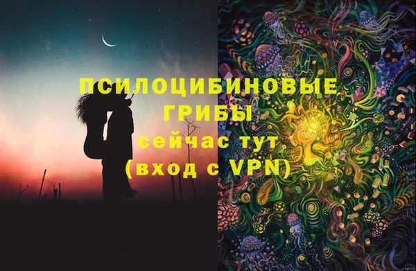 молекула духа Нягань