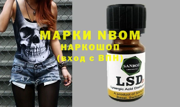 spice Новодвинск