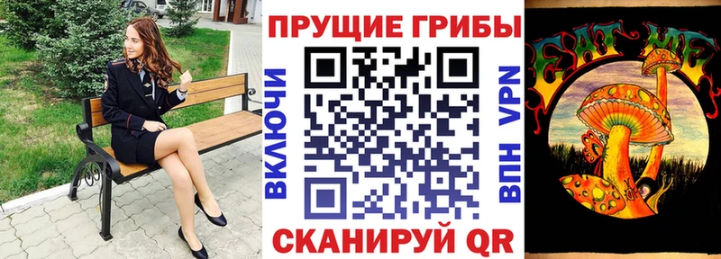 кракен зеркало  Зеленокумск  Псилоцибиновые грибы мицелий  shop наркотические препараты  как найти  