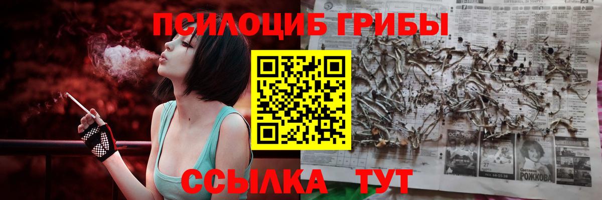 Галлюциногенные грибы прущие грибы Зеленокумск